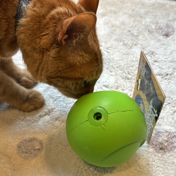 JW Pet Company Grass Green i Squeak Bouncin’ Baseball Large NWT - Picture 5 of 12